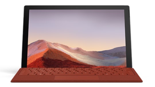 沙田镇清洁和维护 Surface